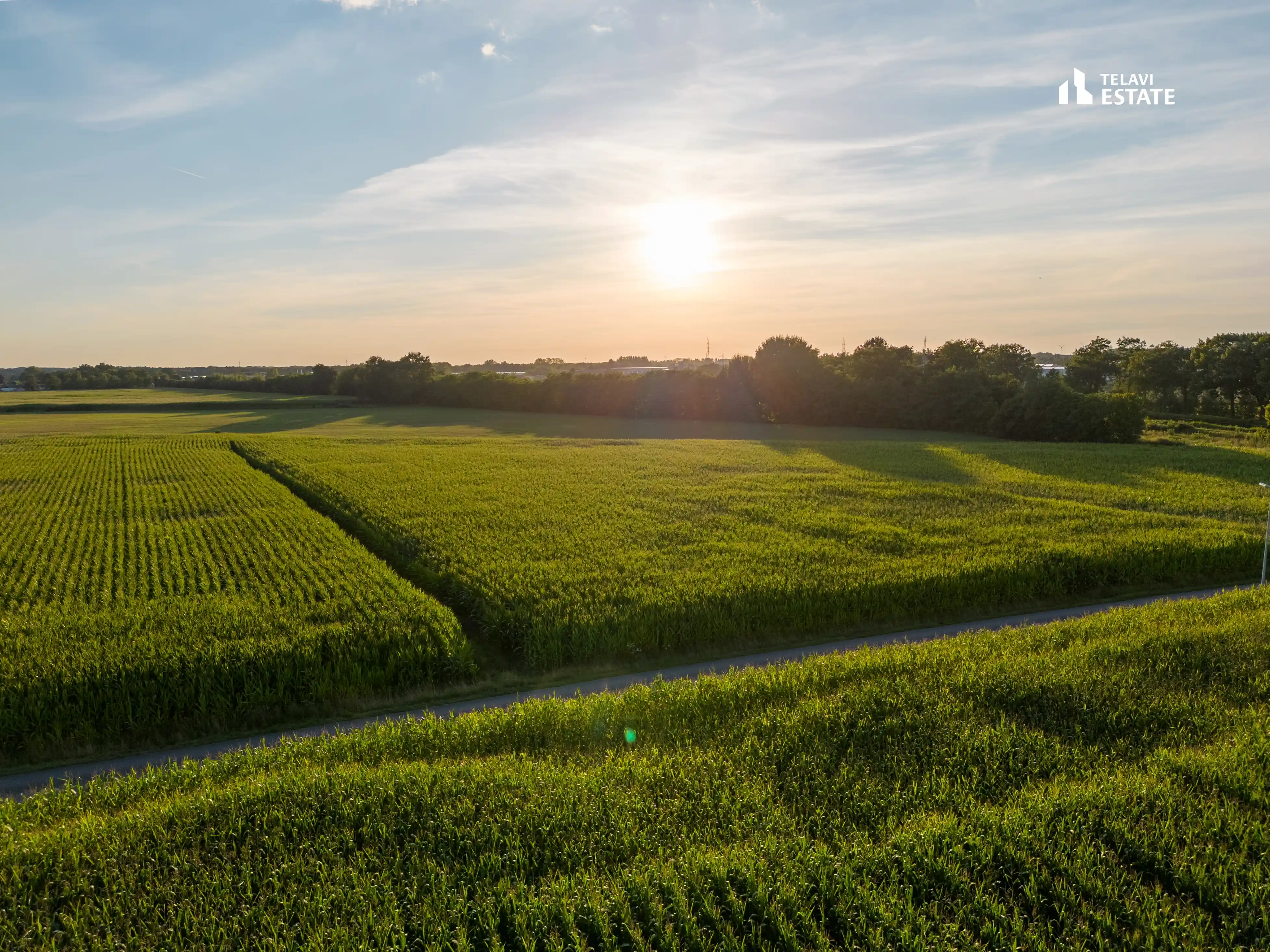 მიწა - შიდა განვადება