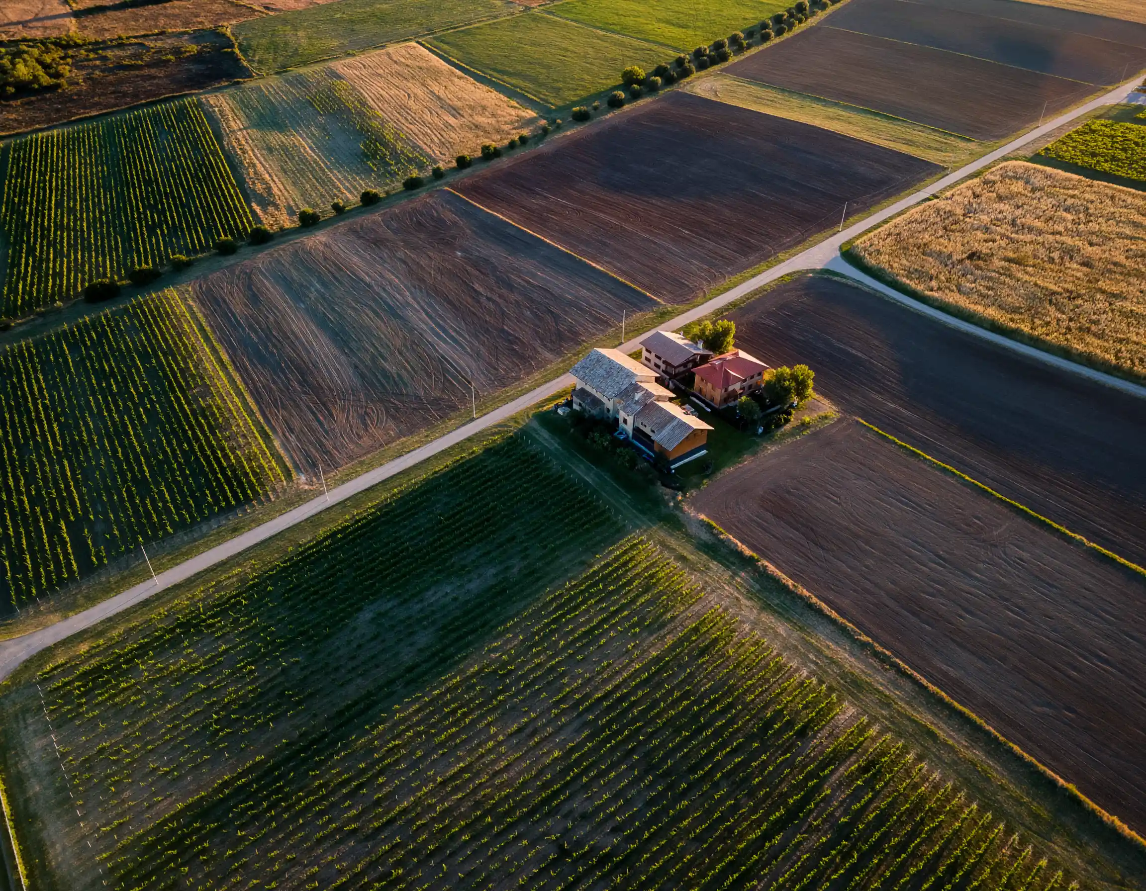 მიწა - შიდა განვადება