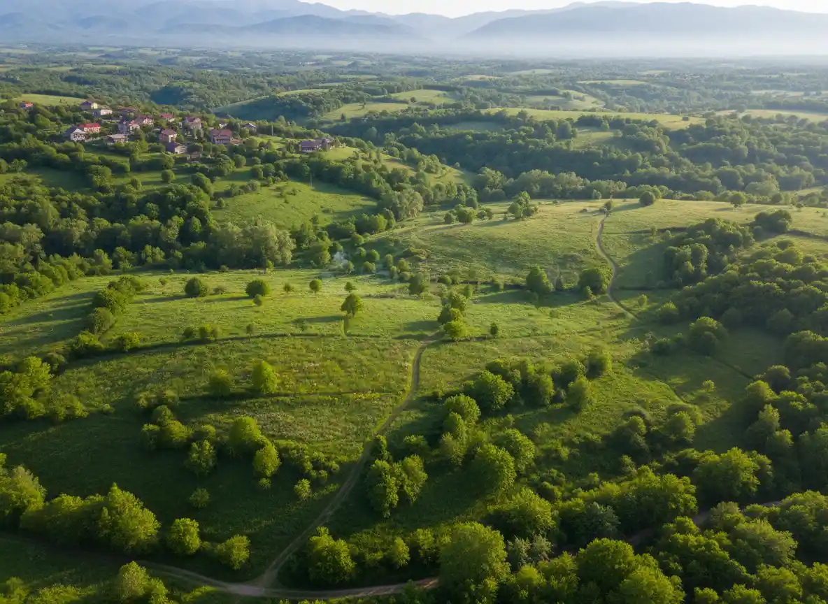 მიწა - შიდა განვადება