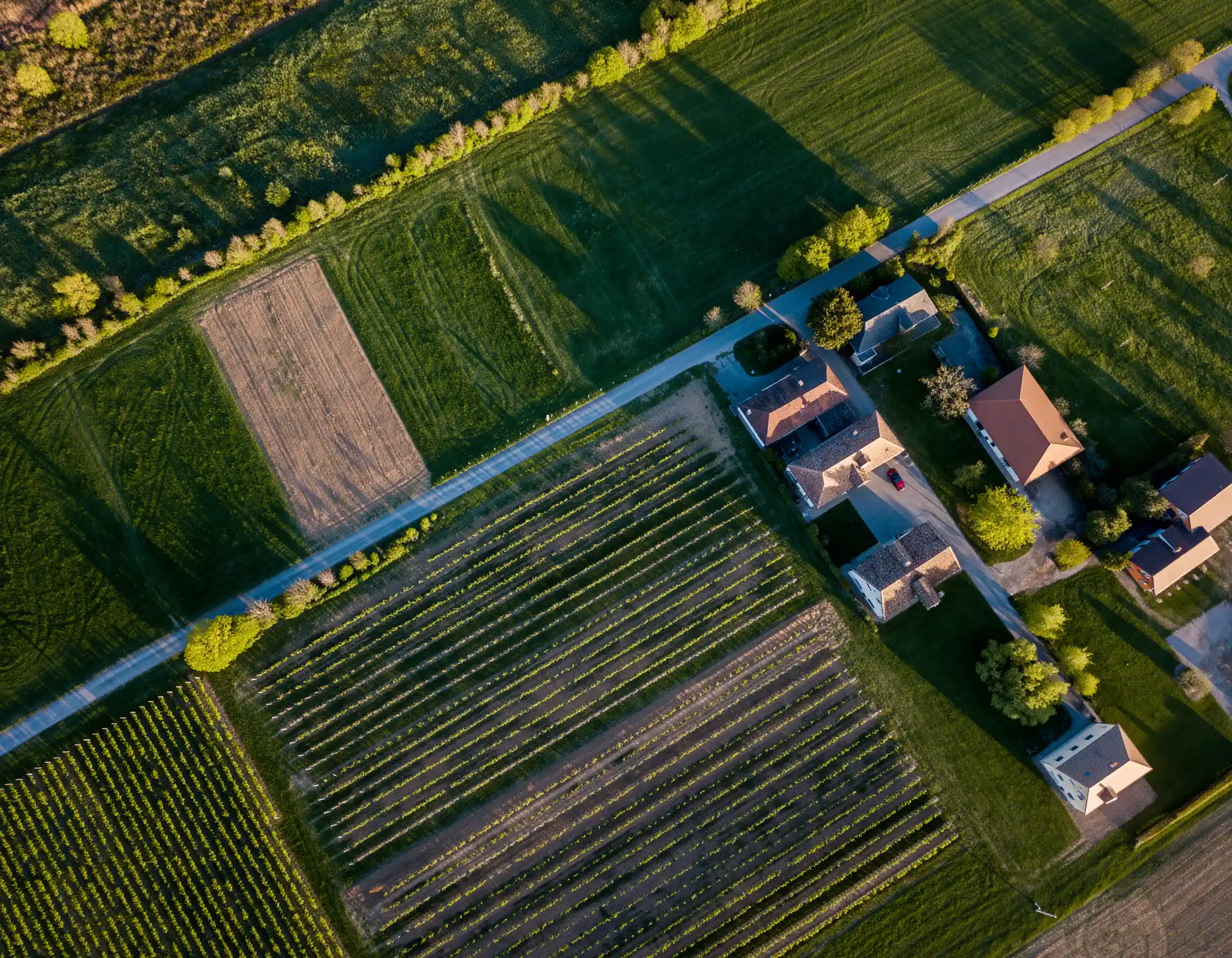 მიწა - შიდა განვადება