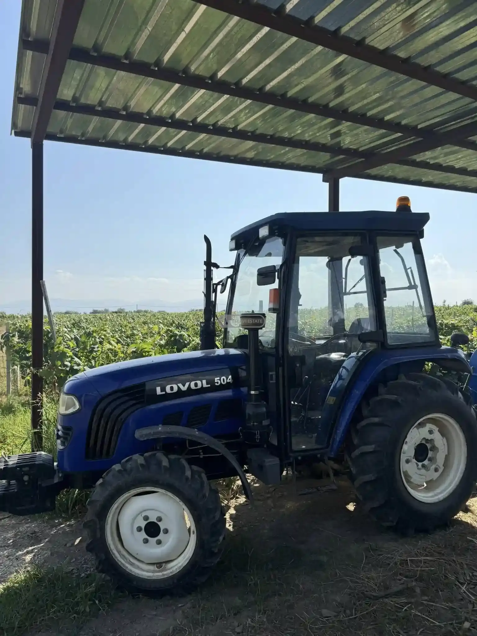 Small Winery and Vineyard Estate in Shilda
