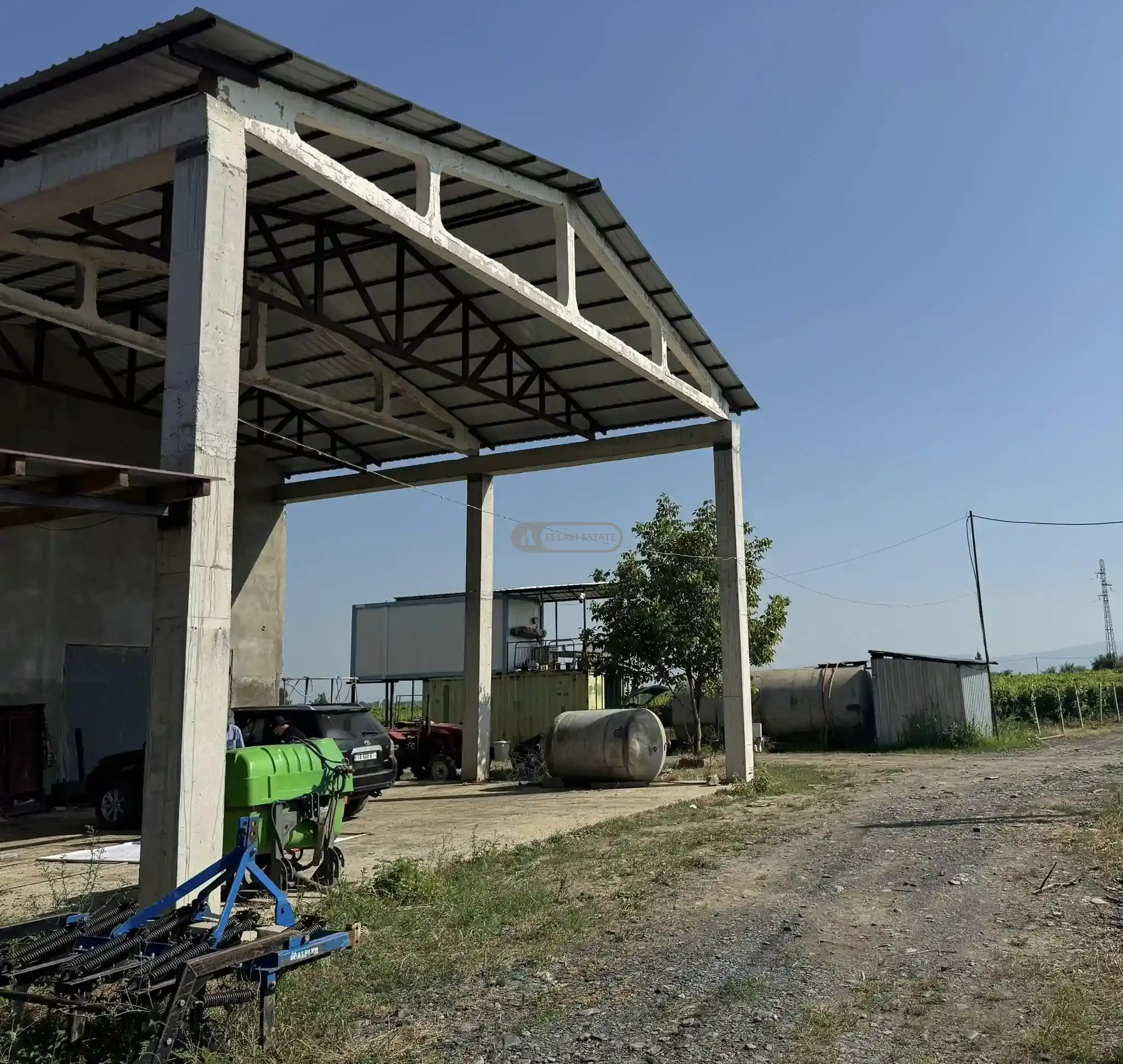 Small Winery and Vineyard Estate in Shilda