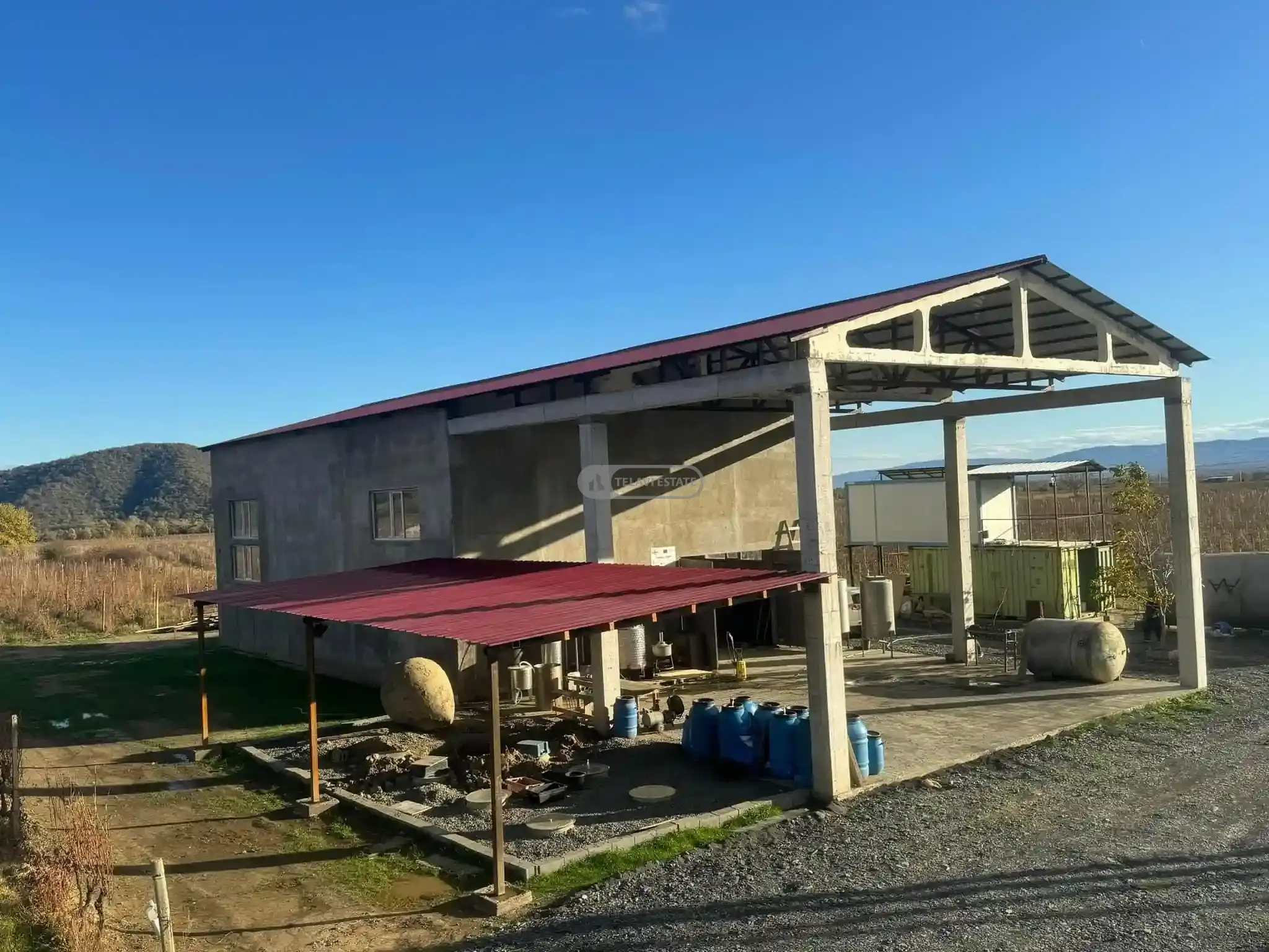 Small Winery and Vineyard Estate in Shilda