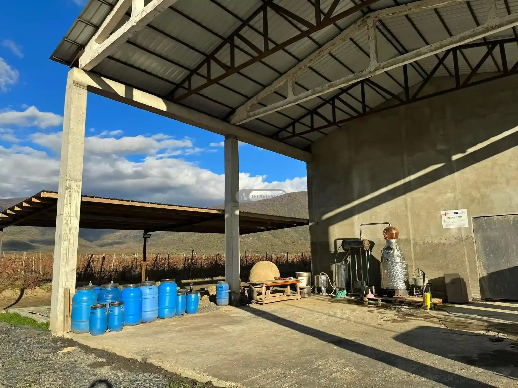 Small Winery and Vineyard Estate in Shilda