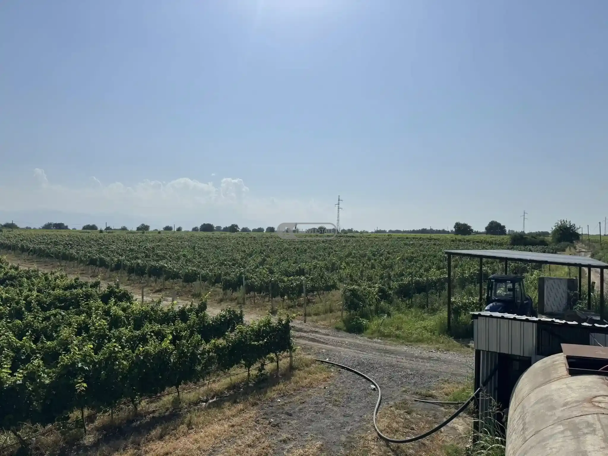 Small Winery and Vineyard Estate in Shilda