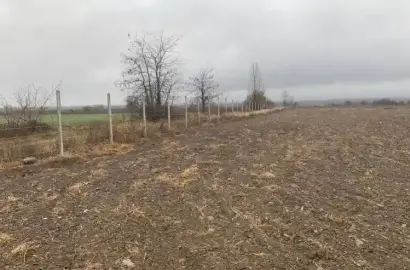 Земельный участок в Напареули