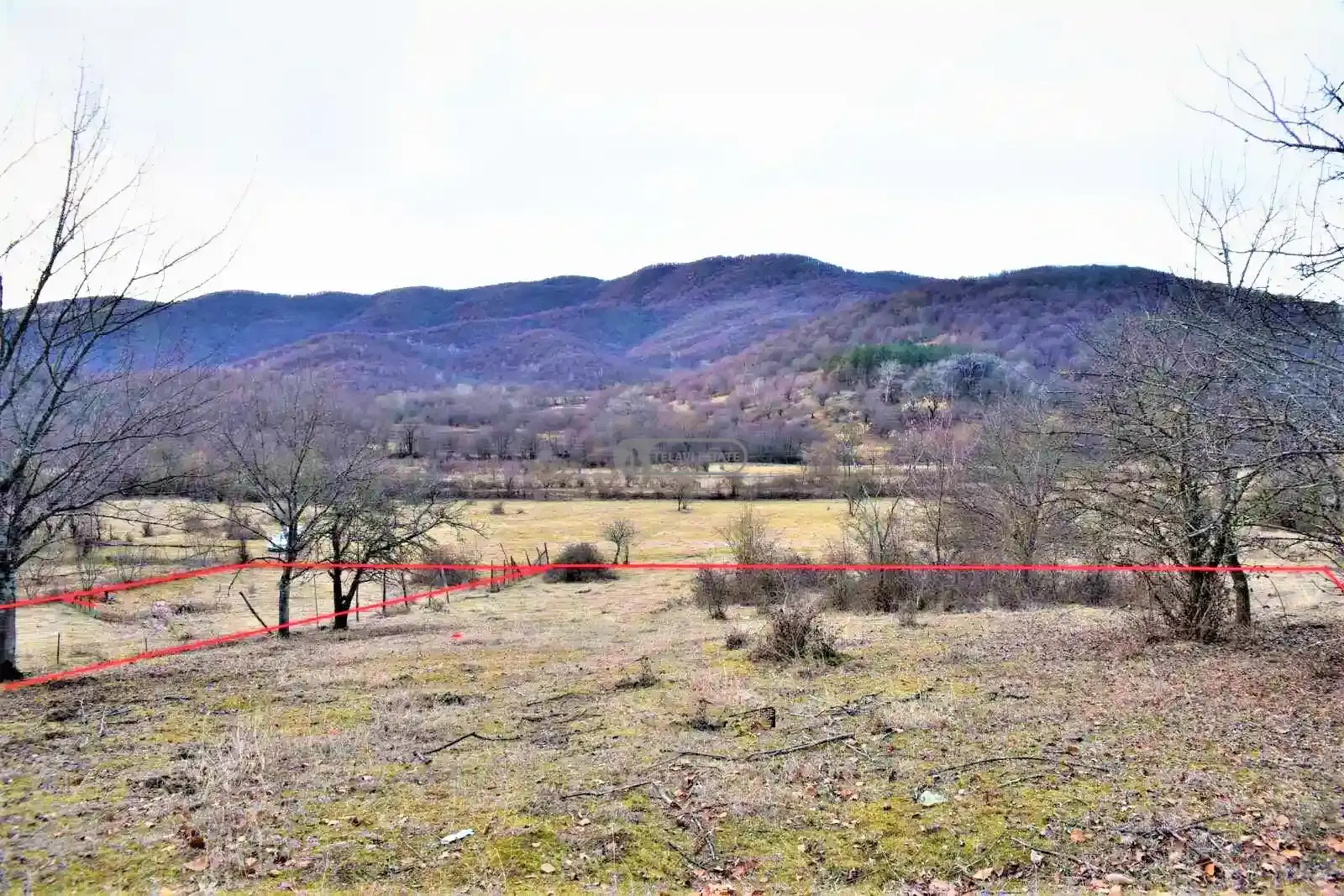 Земельный участок в Телави, Лапанкури
