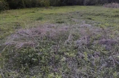 Land for Sale in Kondoli