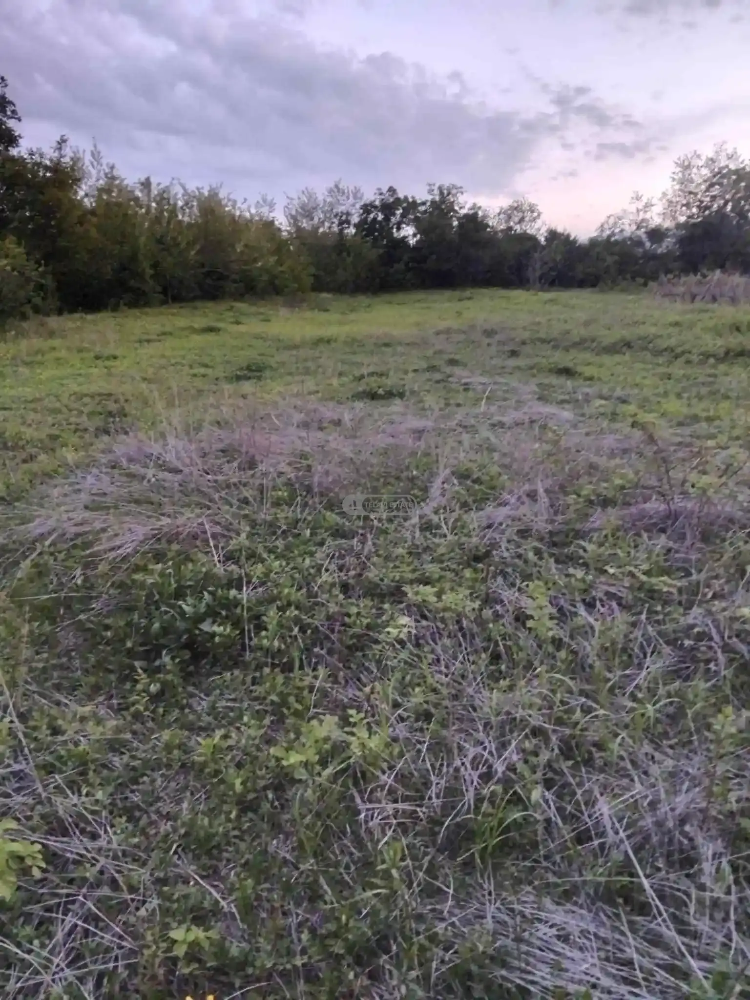 Land for Sale in Kondoli
