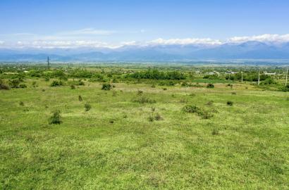 სამოსახლო მიწის ნაკვეთი კურდღელაურში