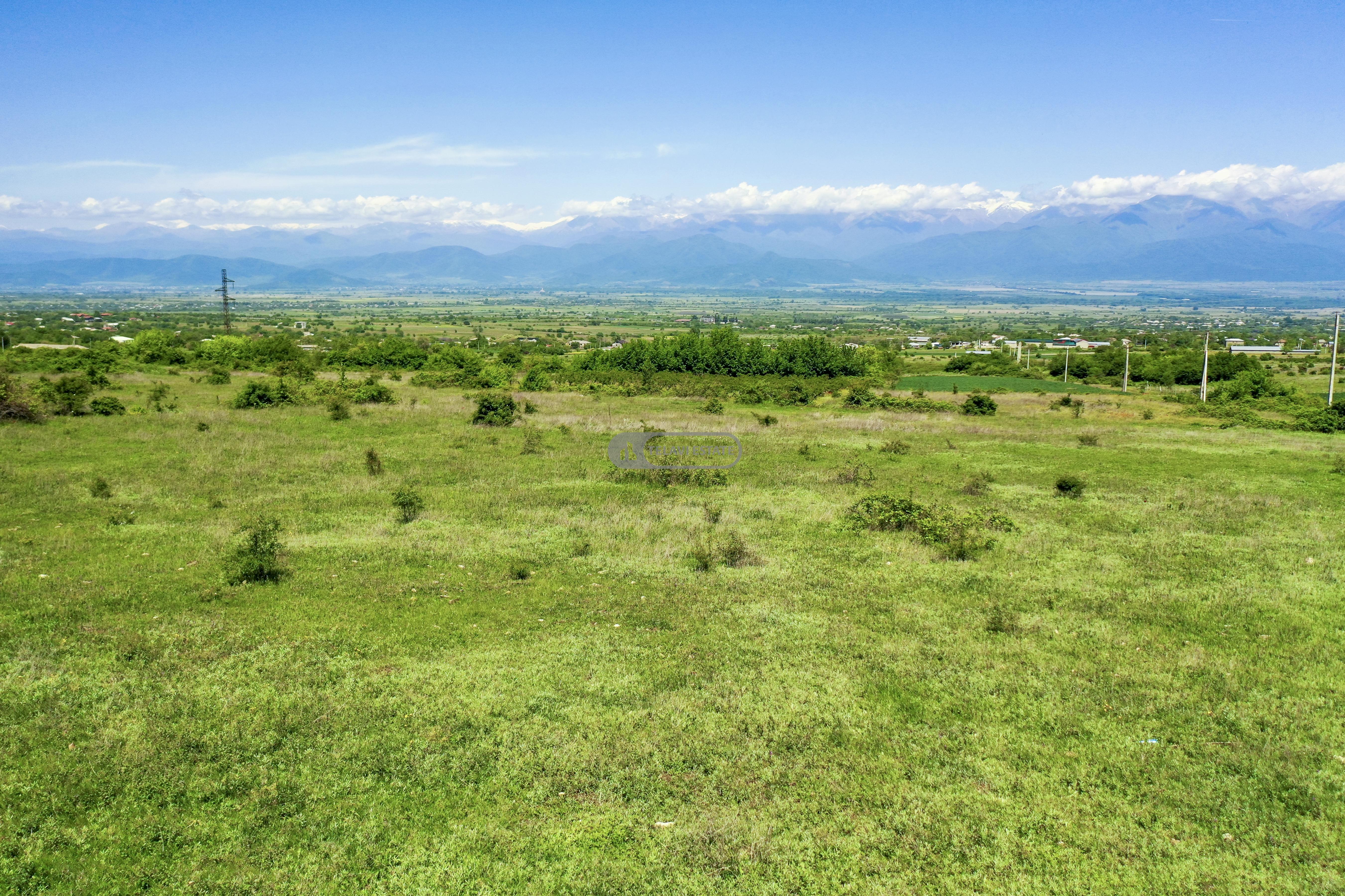სამოსახლო მიწის ნაკვეთი კურდღელაურში