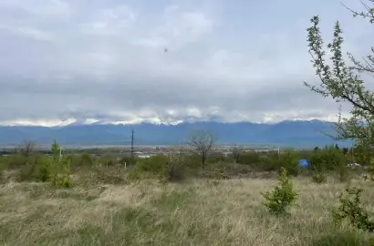 მიწის ნაკვეთი ვარდისუბანში