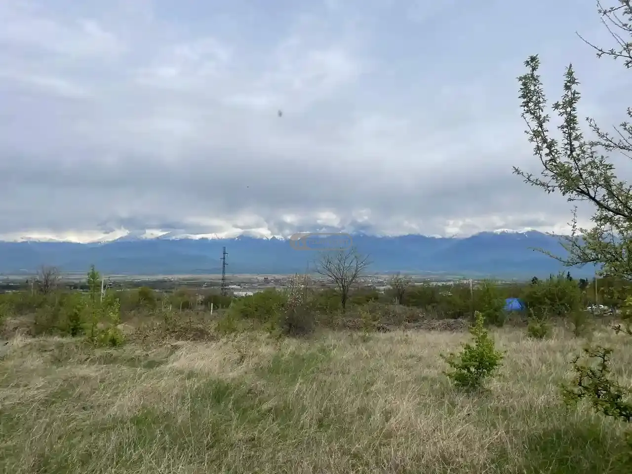 მიწის ნაკვეთი ვარდისუბანში