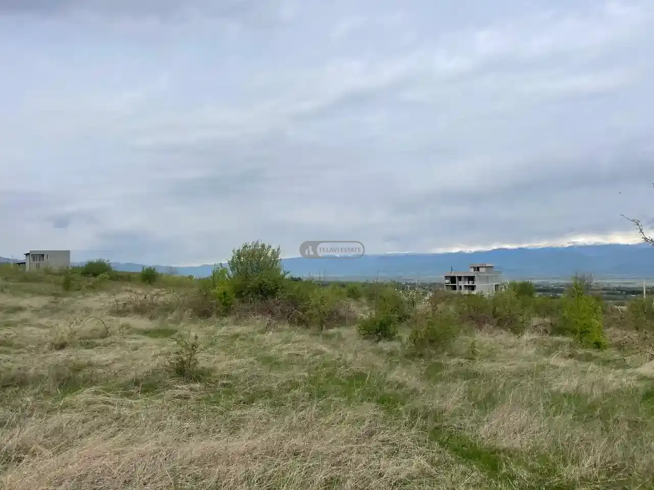 მიწის ნაკვეთი ვარდისუბანში