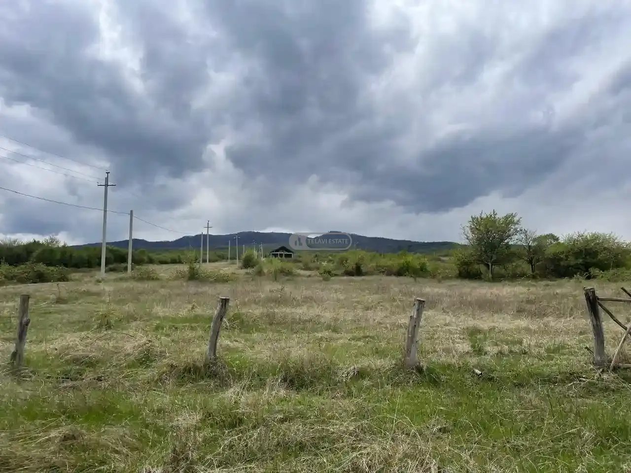 მიწის ნაკვეთი ვარდისუბანში