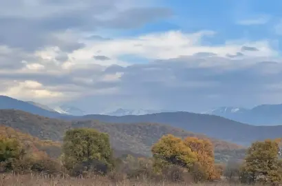 მიწის ნაკვეთი გრემში