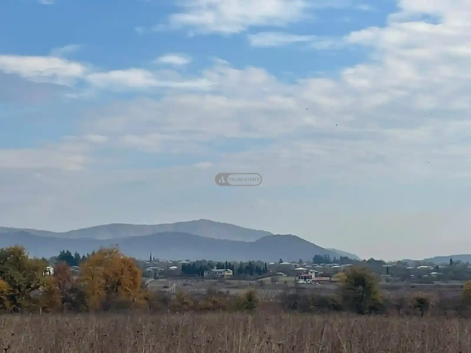 მიწის ნაკვეთი გრემში