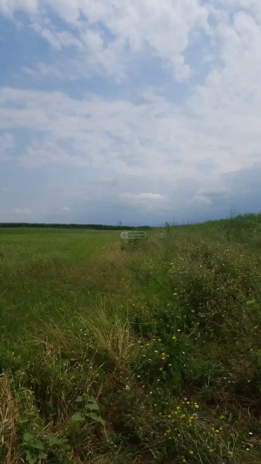 Земельный участок в Чандари