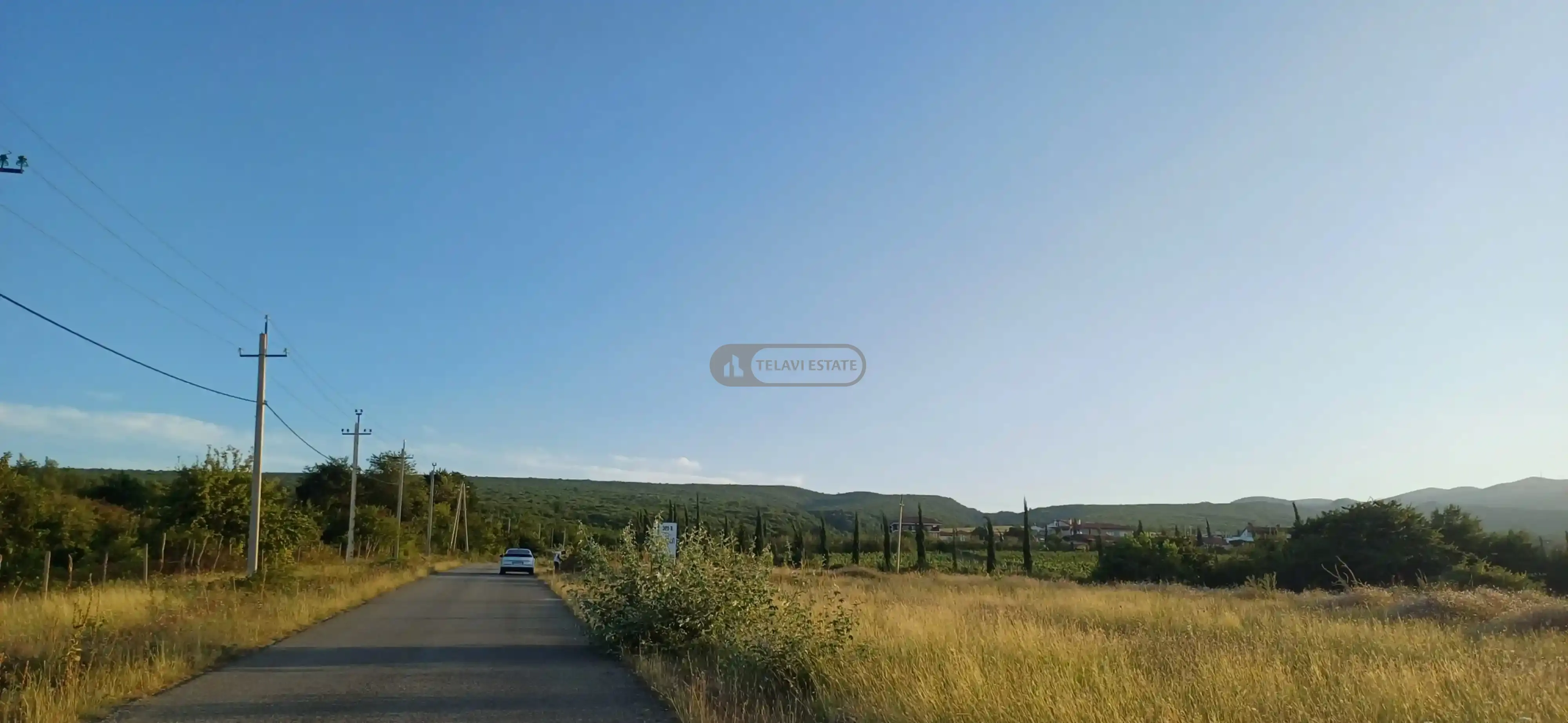 მიწის ნაკვთი შალაურში