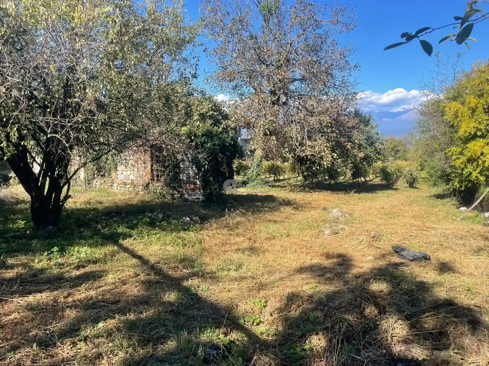 Land plot in Kisiskhevi