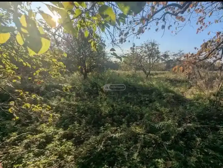 სახლი ნაფარეულში