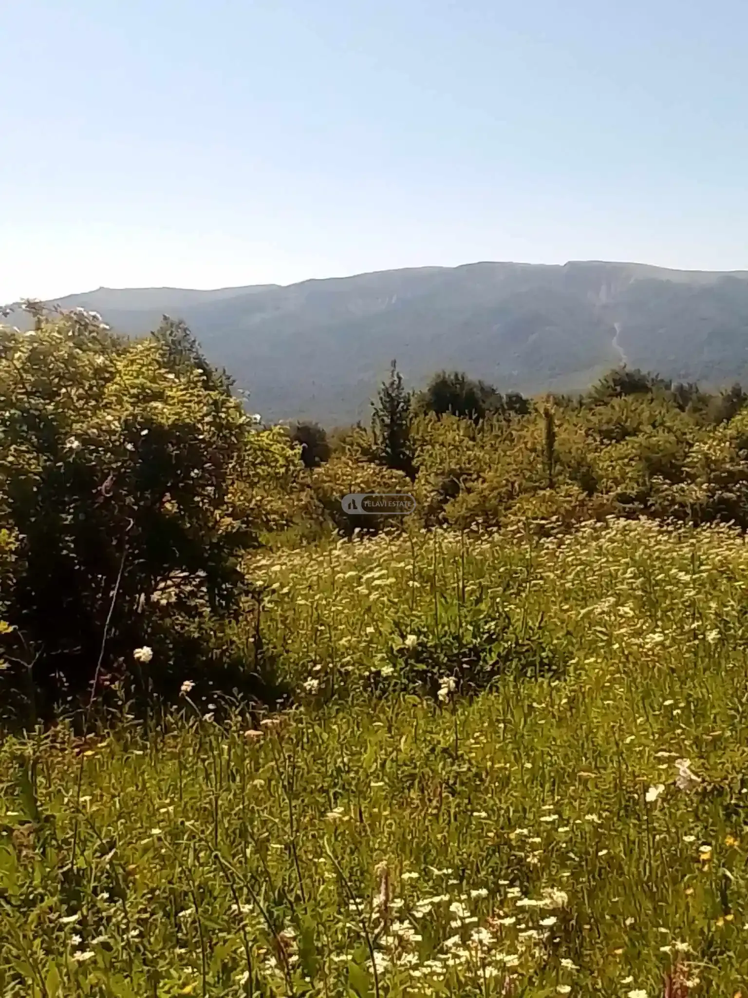 მიწის ნაკვეთი Земельный участок в Тетрицхлебах