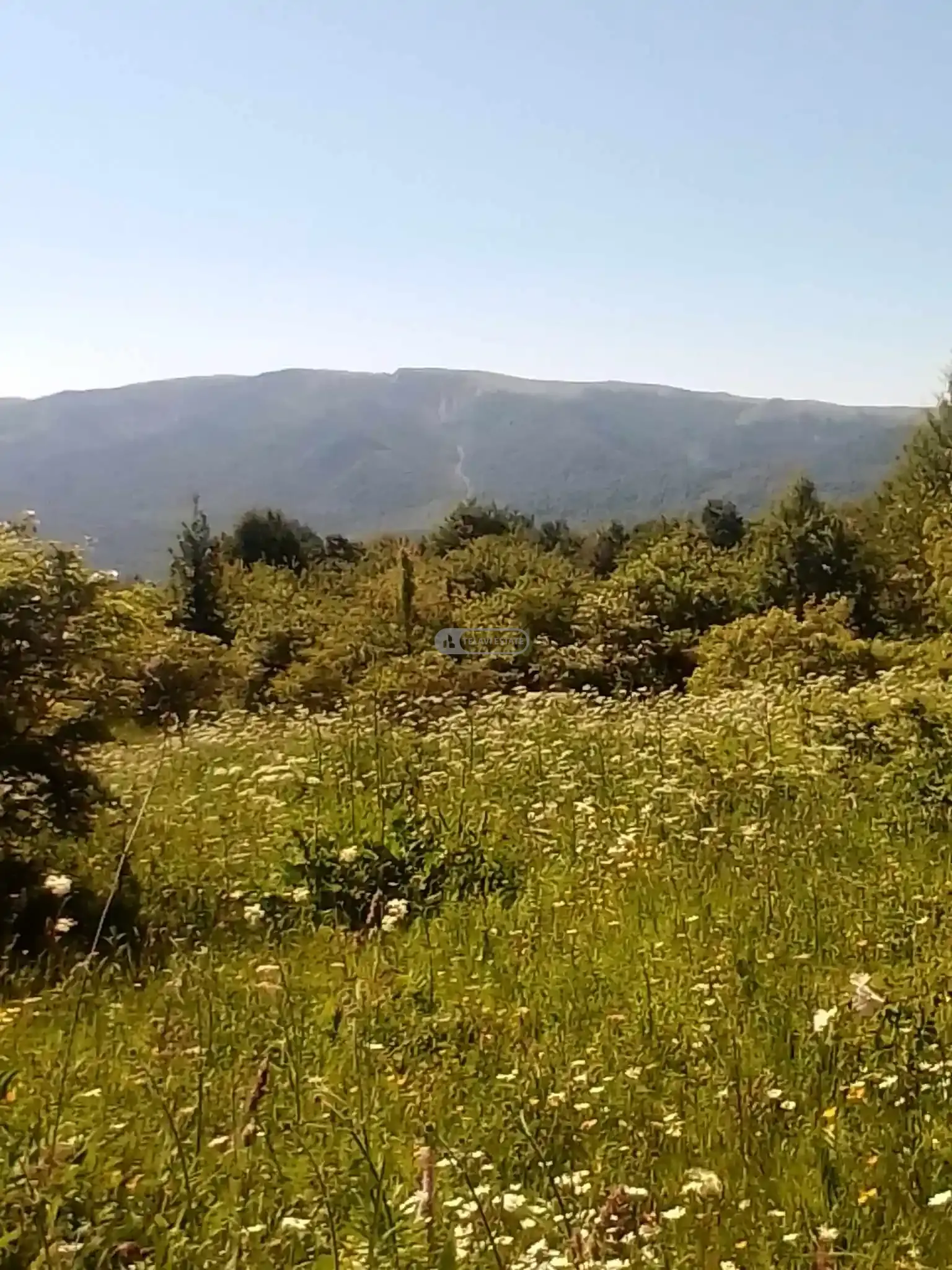 მიწის ნაკვეთი Земельный участок в Тетрицхлебах