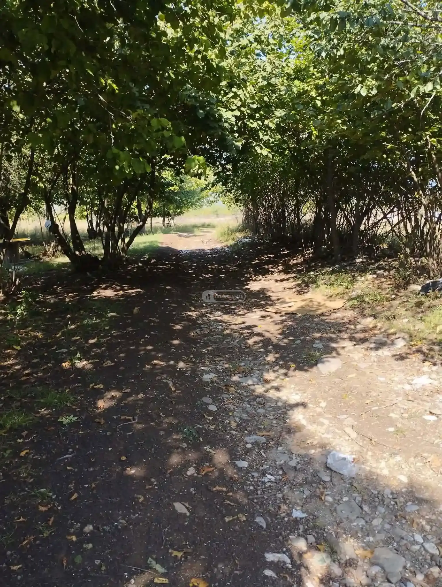 Investment Land Plot in Upper Kisiskhevi