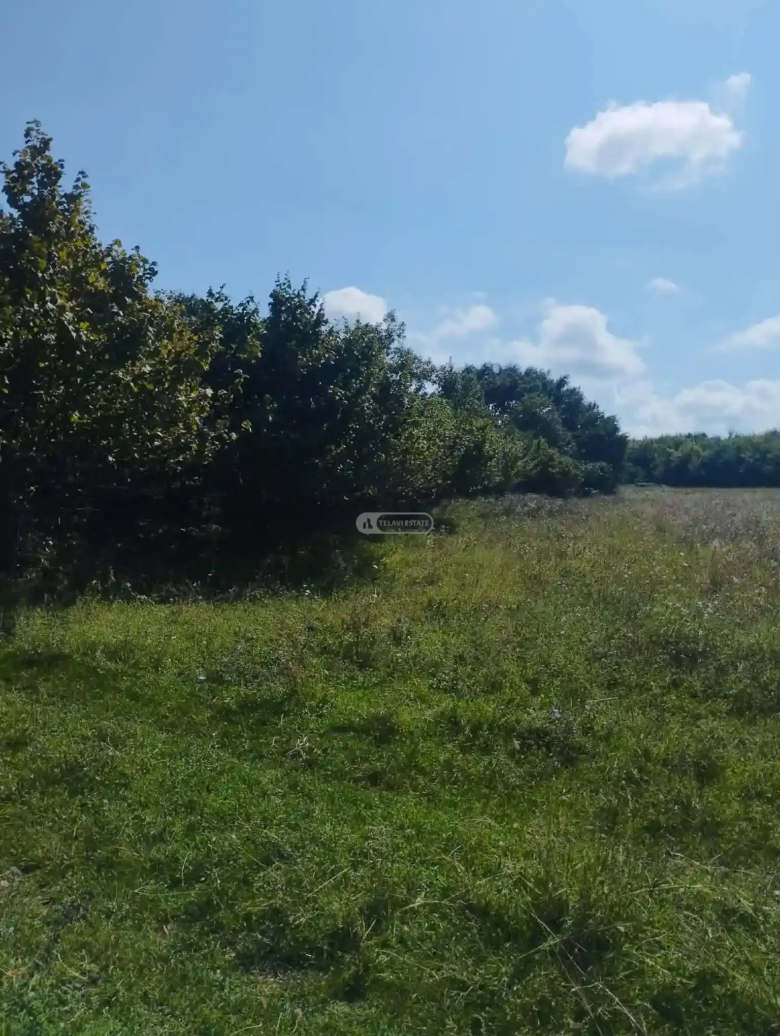 Investment Land Plot in Upper Kisiskhevi