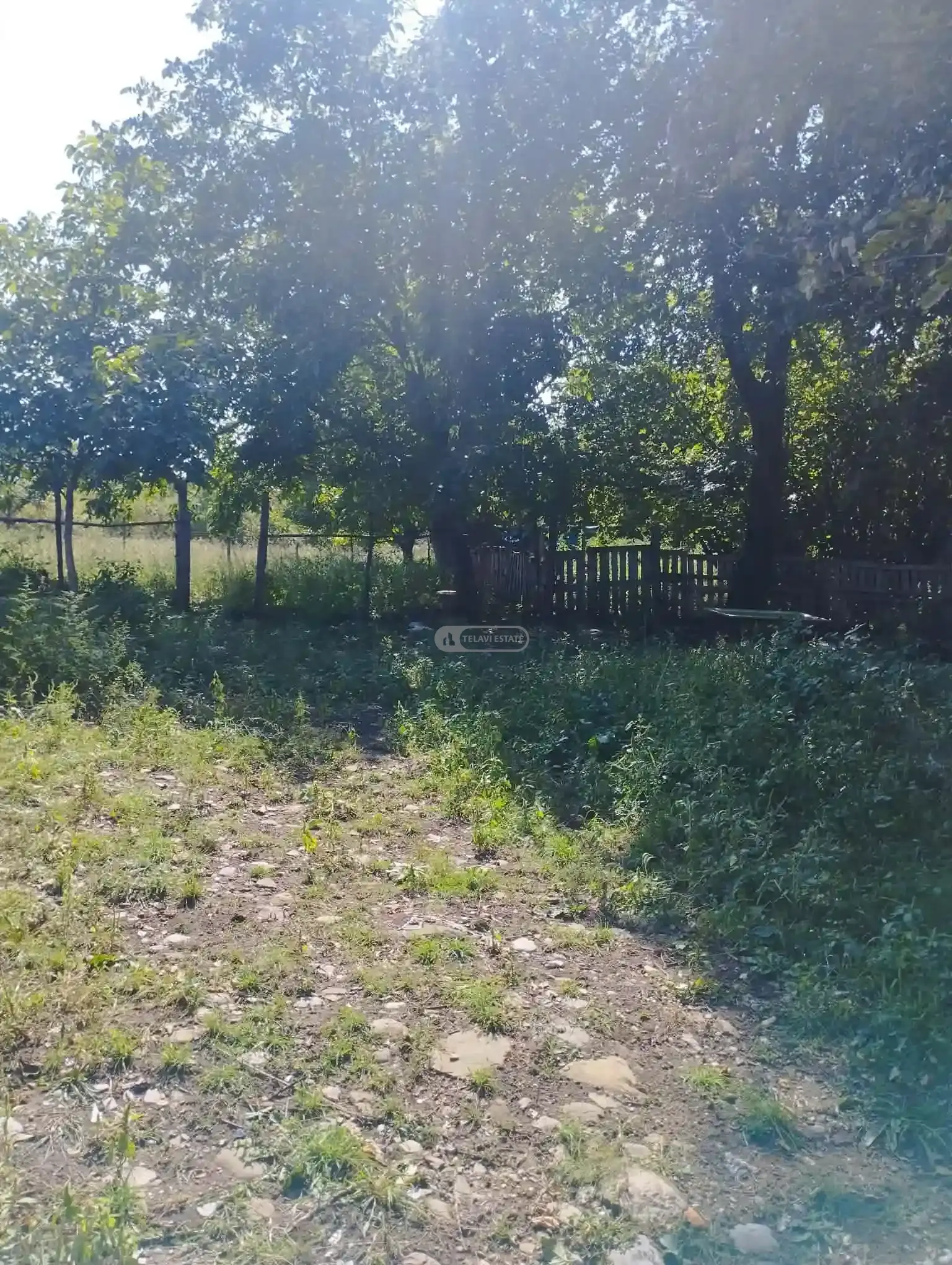 Investment Land Plot in Upper Kisiskhevi