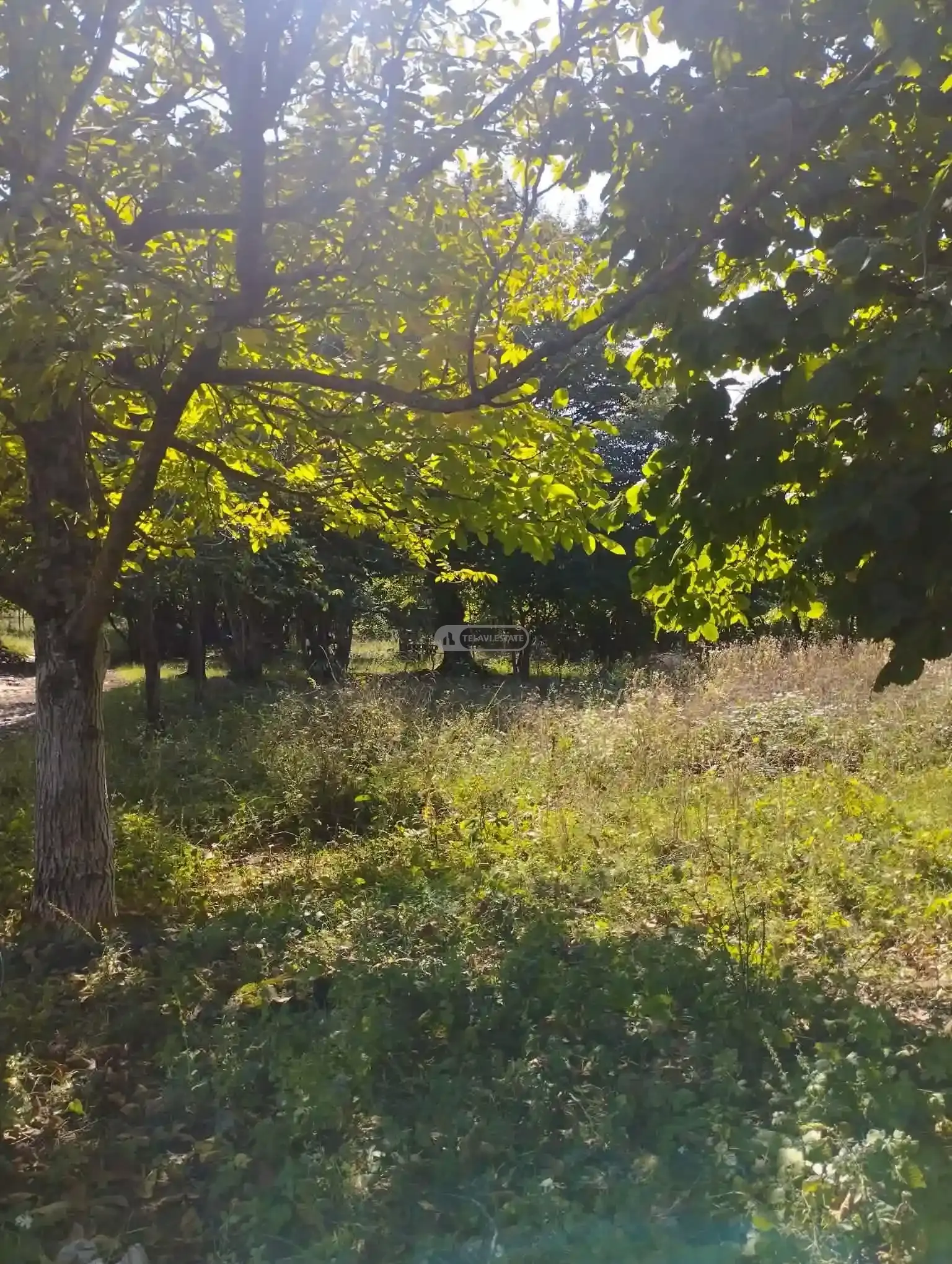 Investment Land Plot in Upper Kisiskhevi