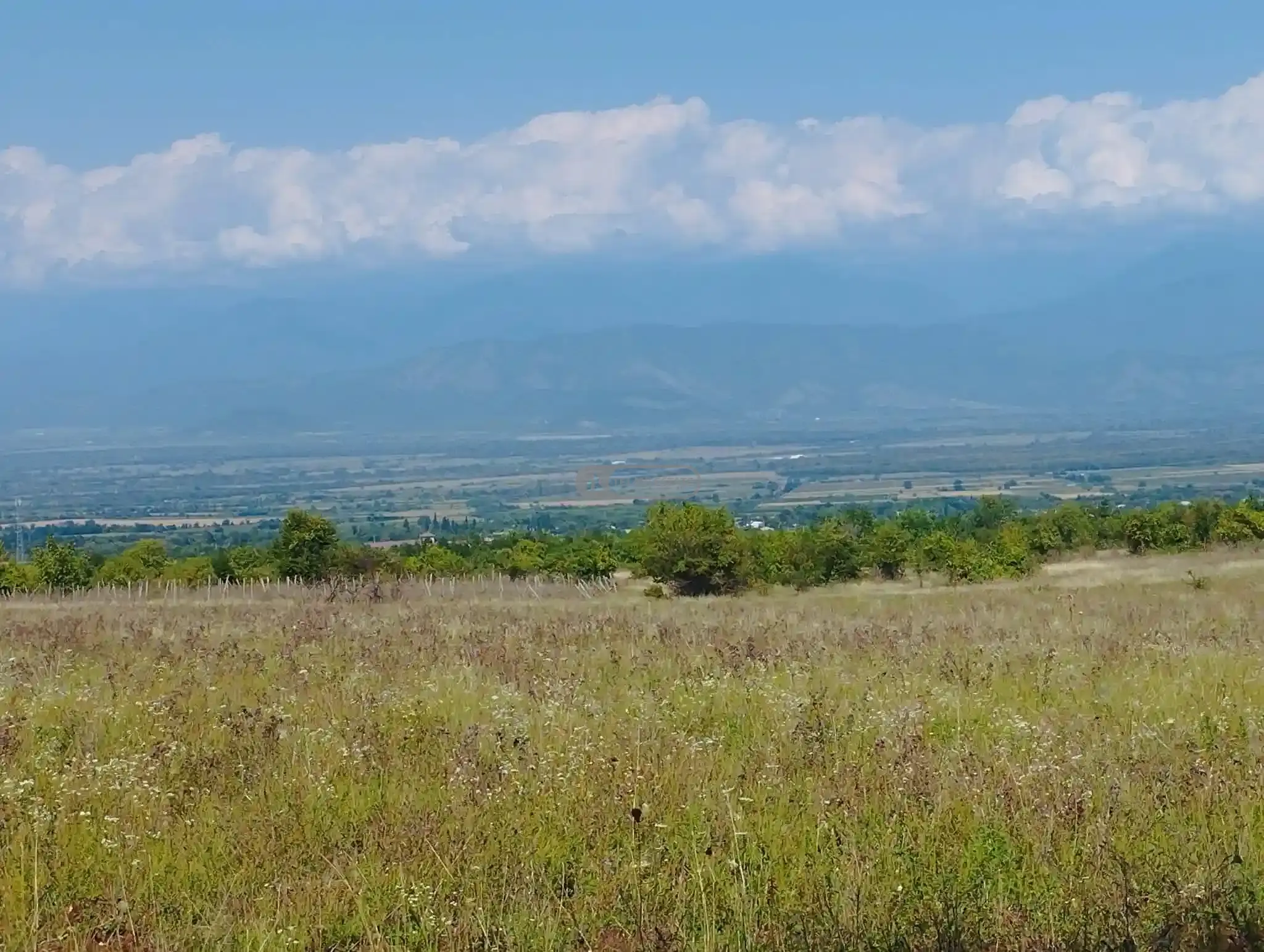 Investment Land Plot in Upper Kisiskhevi
