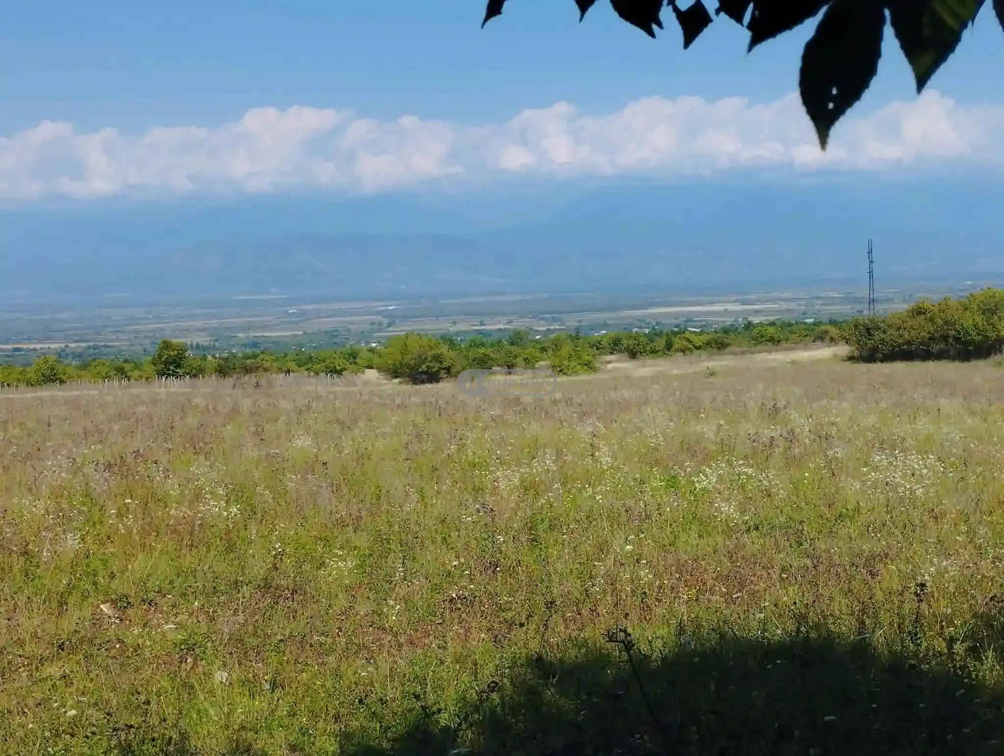 Investment Land Plot in Upper Kisiskhevi