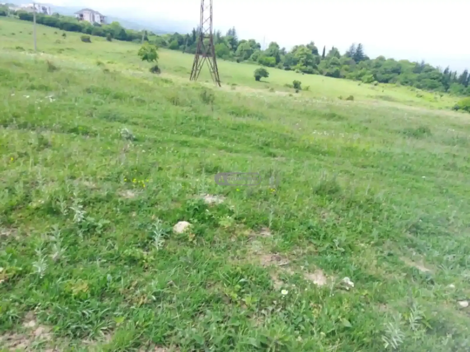 Продается земельный участок в Вардисубани