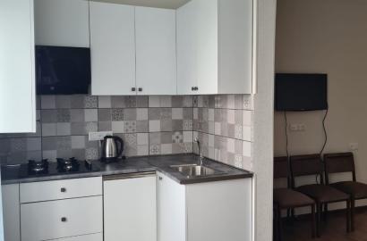 2-Room Apartment for Rent in Telavi