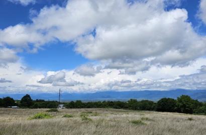 მიწის ნაკვეთი შალაურში