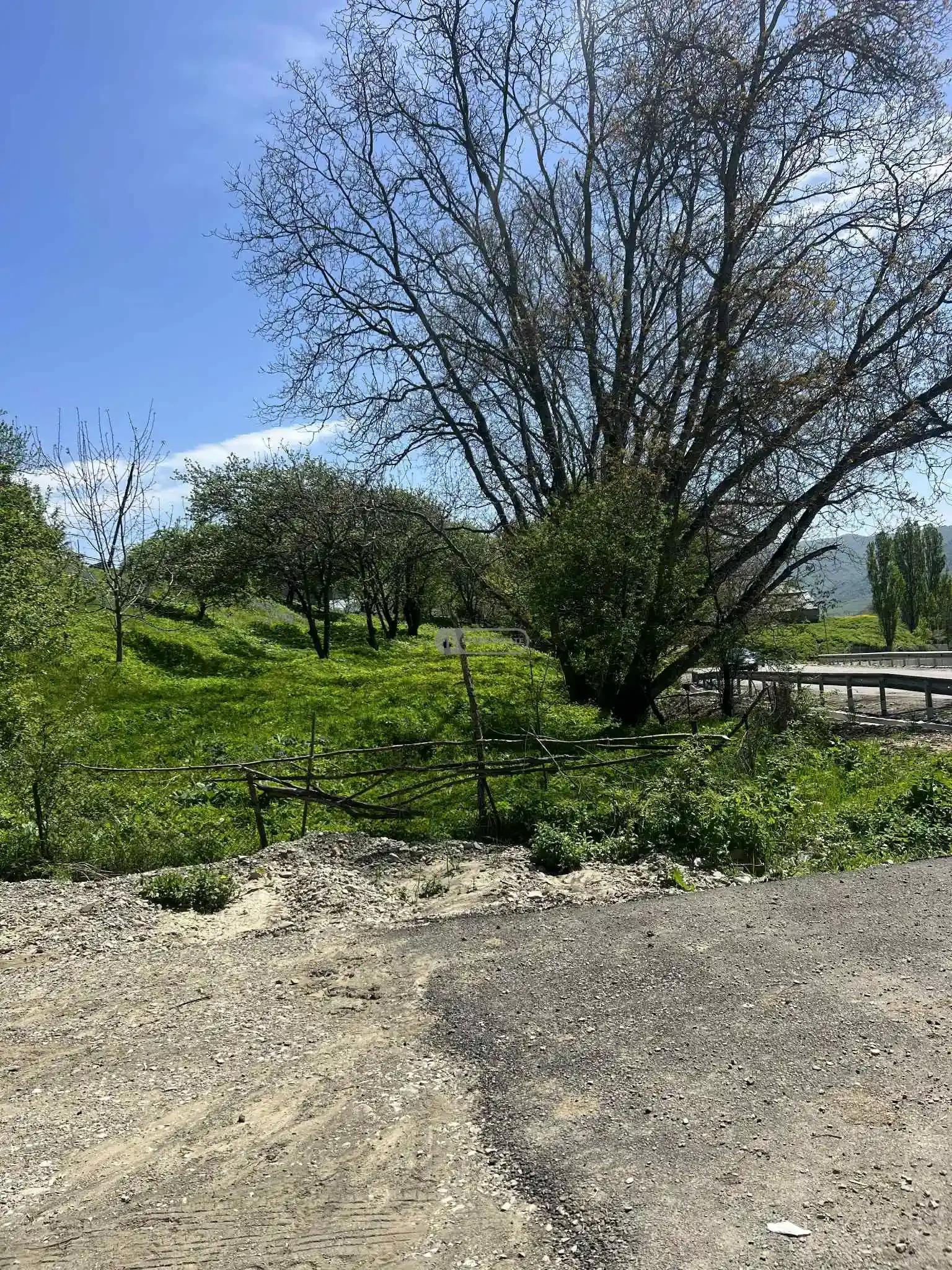 Земельный участок в Кобадзе