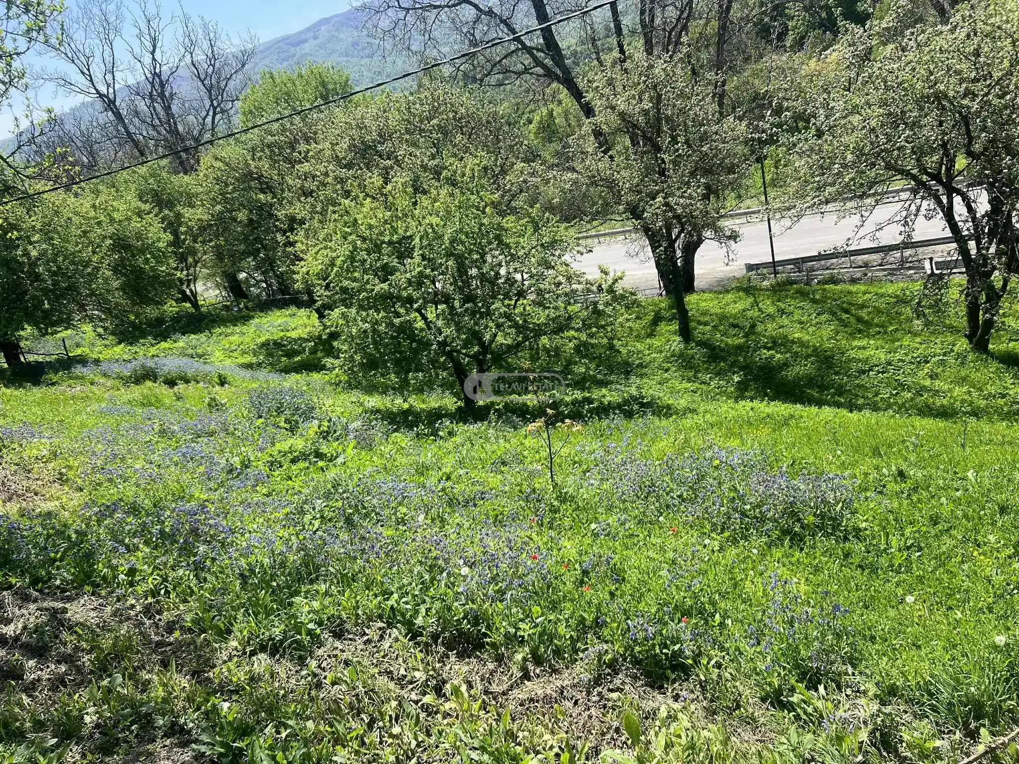 Земельный участок в Кобадзе