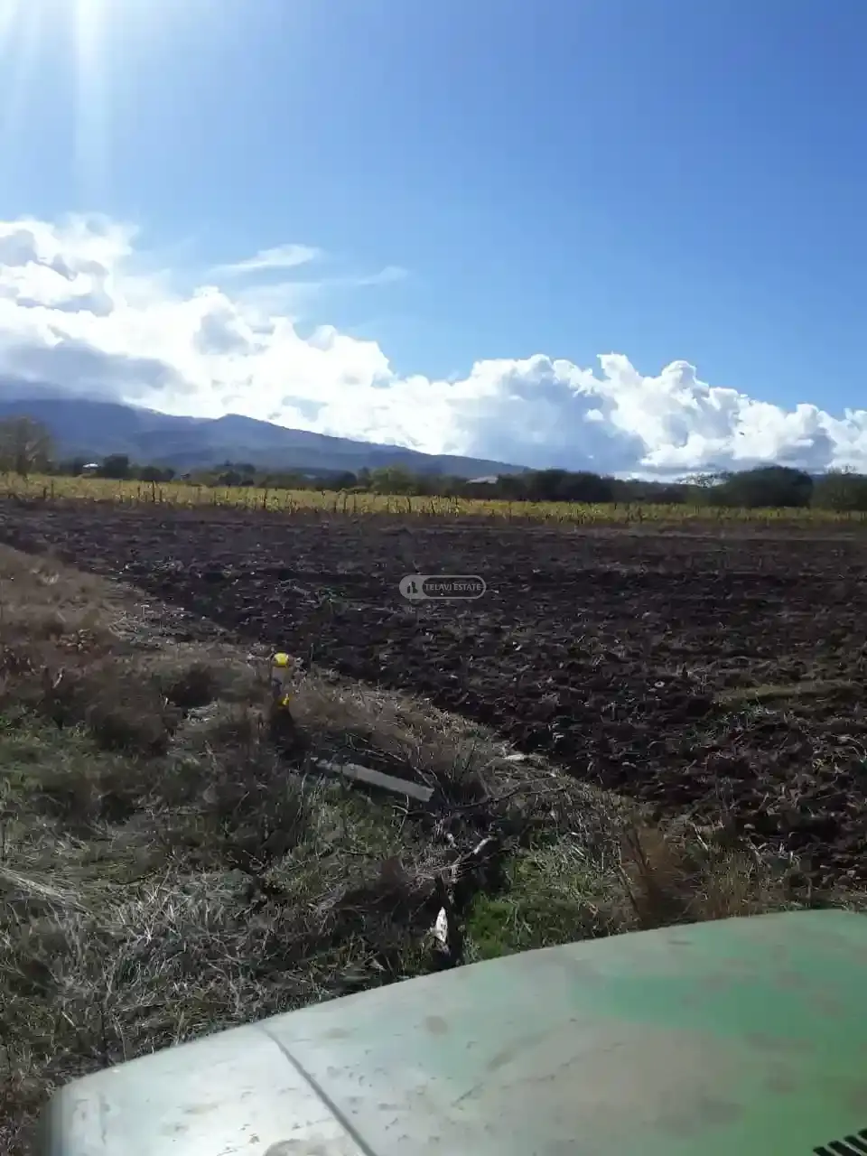 მიწის ნაკვეთი ვარდისუბანში