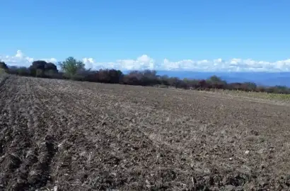 მიწის ნაკვეთი ვარდისუბანში