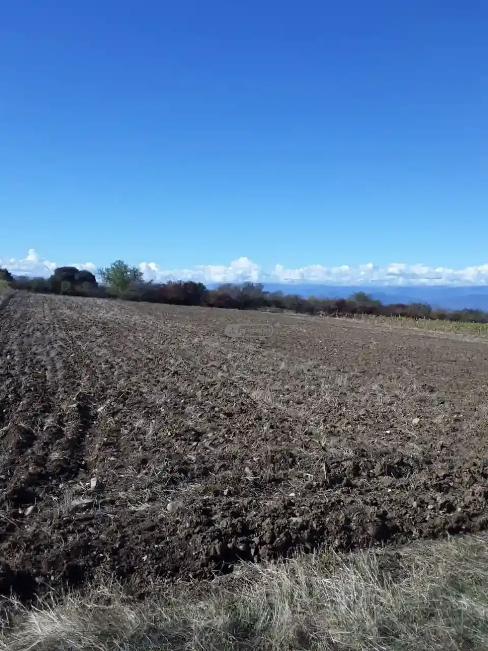 მიწის ნაკვეთი ვარდისუბანში