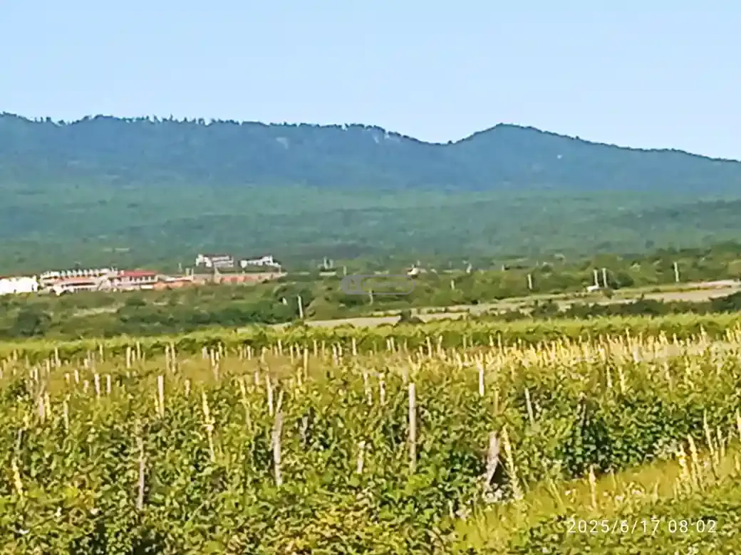 Продается участок в Кисисхеви