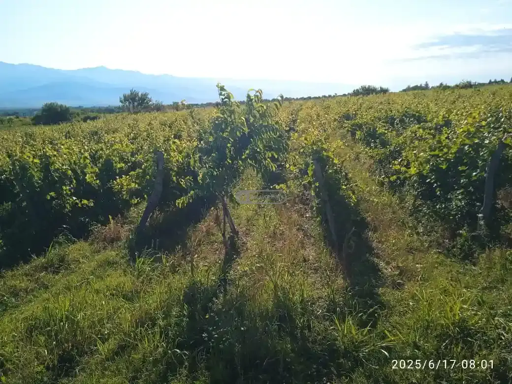 Продается участок в Кисисхеви