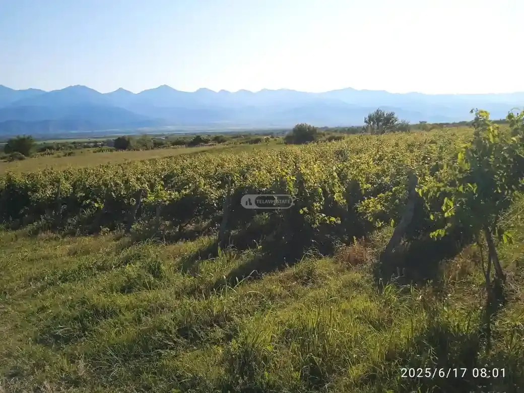 Продается участок в Кисисхеви