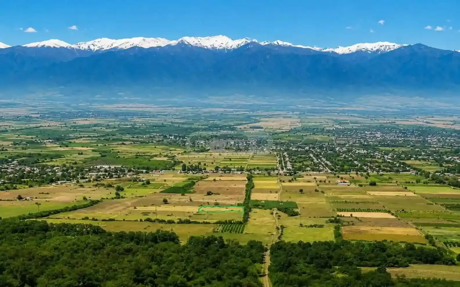 მიწის ნაკვეთი რუისპირში