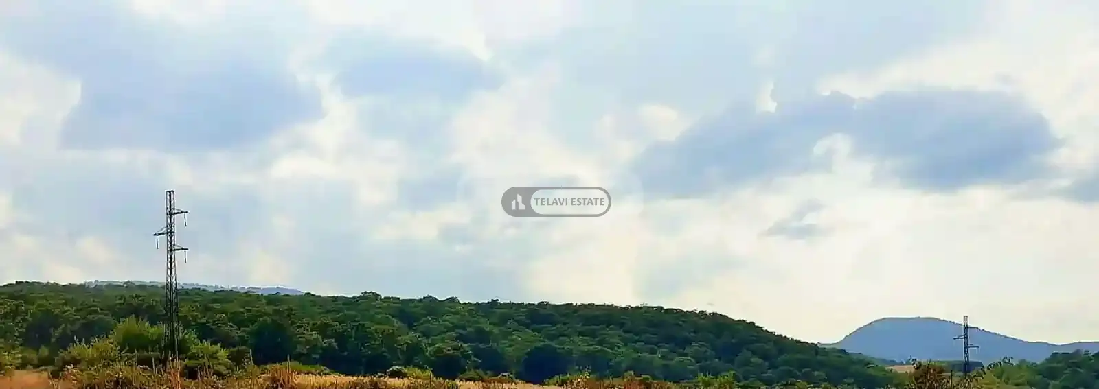 მიწის ნაკვეთი რუისპირში