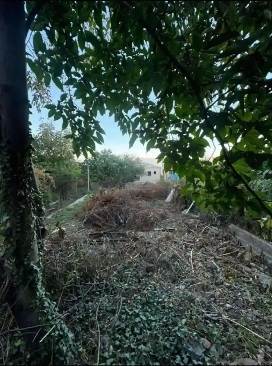 Продается земельный участок в Телави – улица Тамар