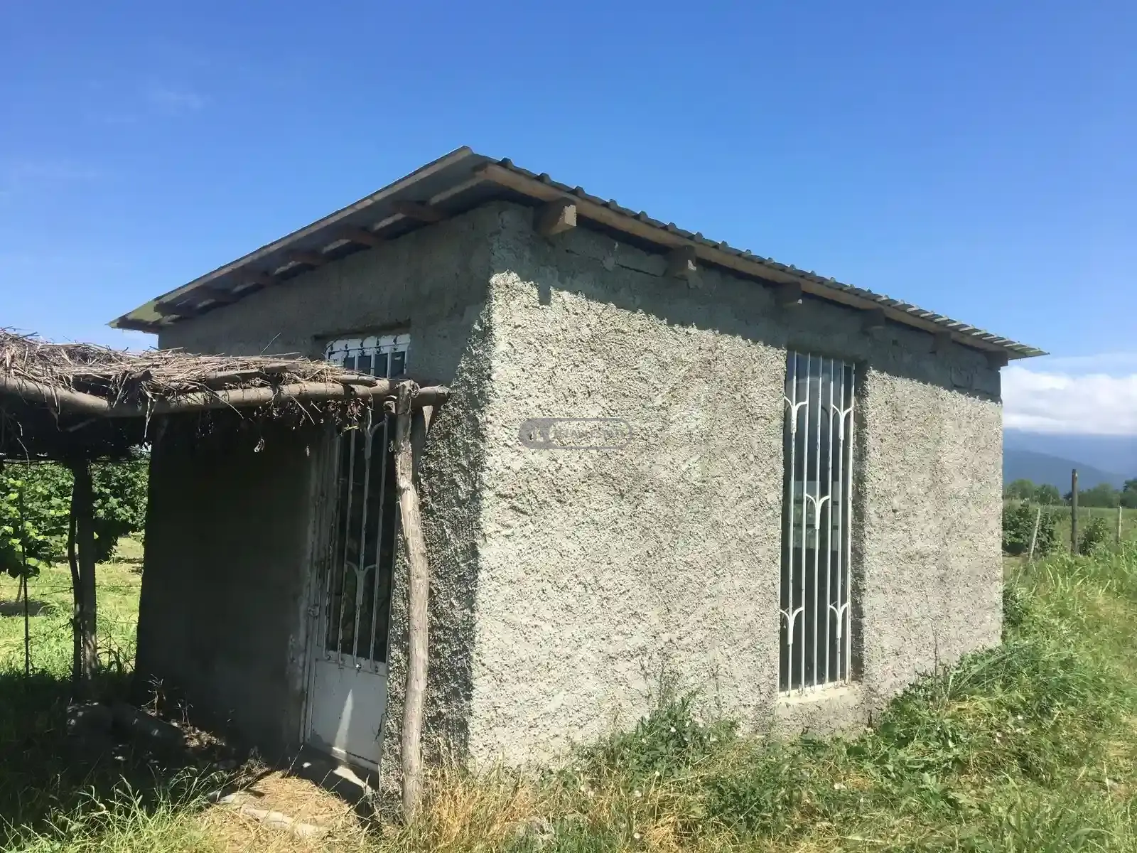 Виноградник в Кварели, зоне Киндзмараули