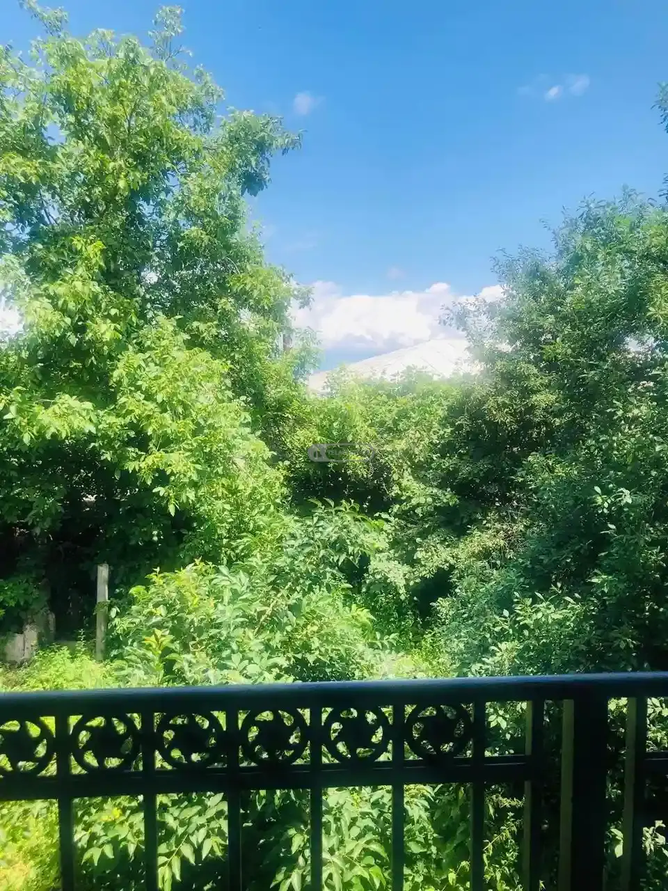 ქირავდება ბინა თელავში