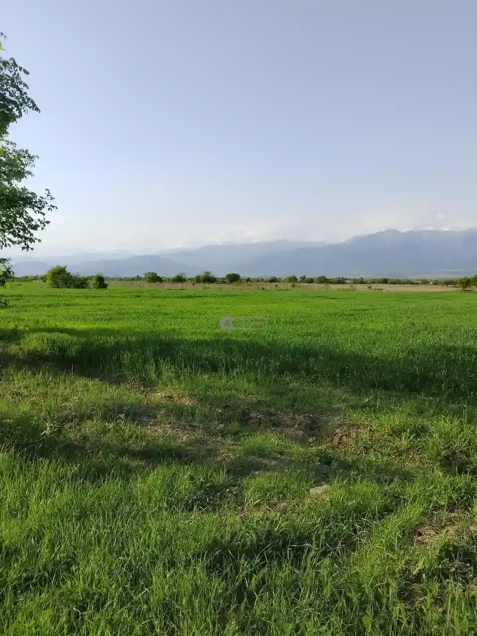 Продаётся земельный участок в Вардиcубани